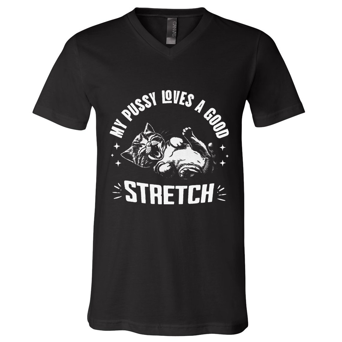 My Pussy Love A Good Stretch Funny Raunchy Cat Meme V-Neck T-Shirt