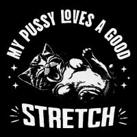 My Pussy Love A Good Stretch Funny Raunchy Cat Meme 16 in Basic Backpack