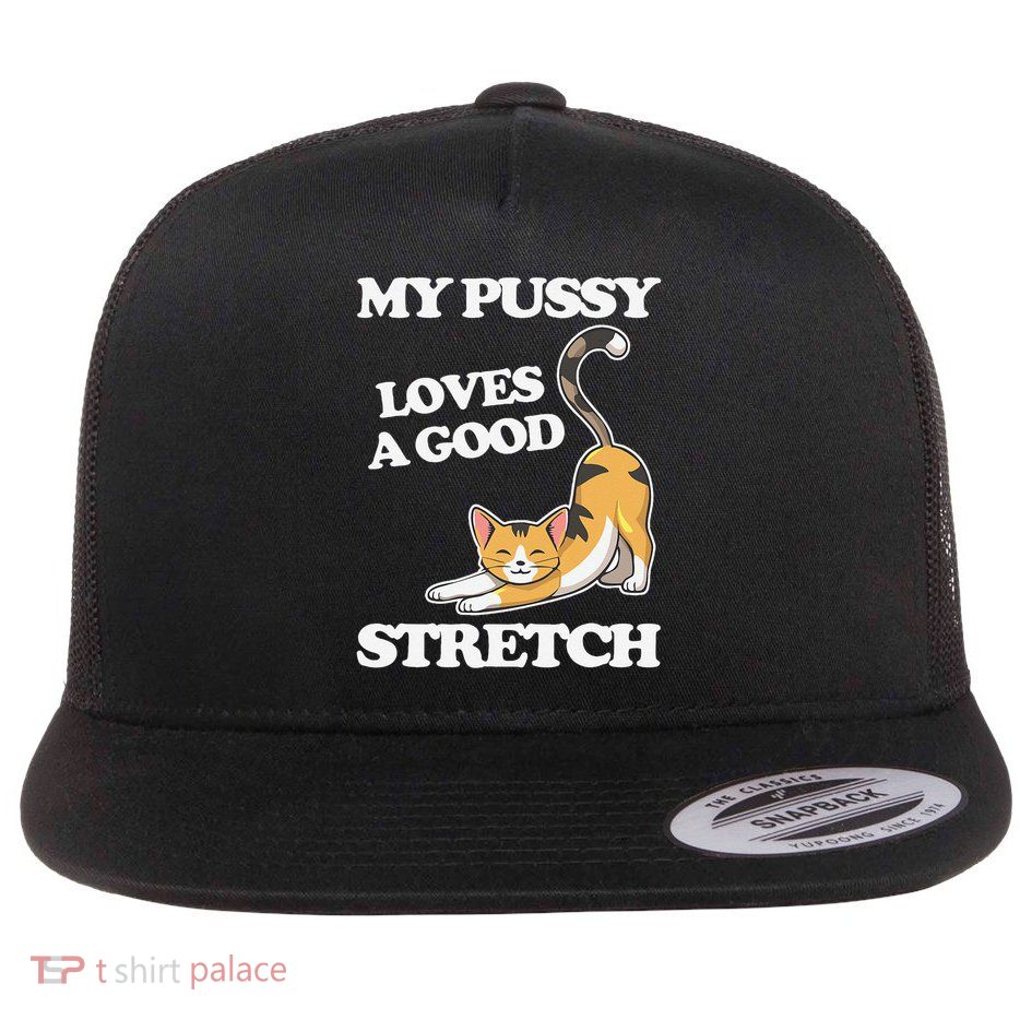 My Pussy Loves A Good Stretch - Funny Saying Sarcastic Cat Flat Bill Trucker Hat