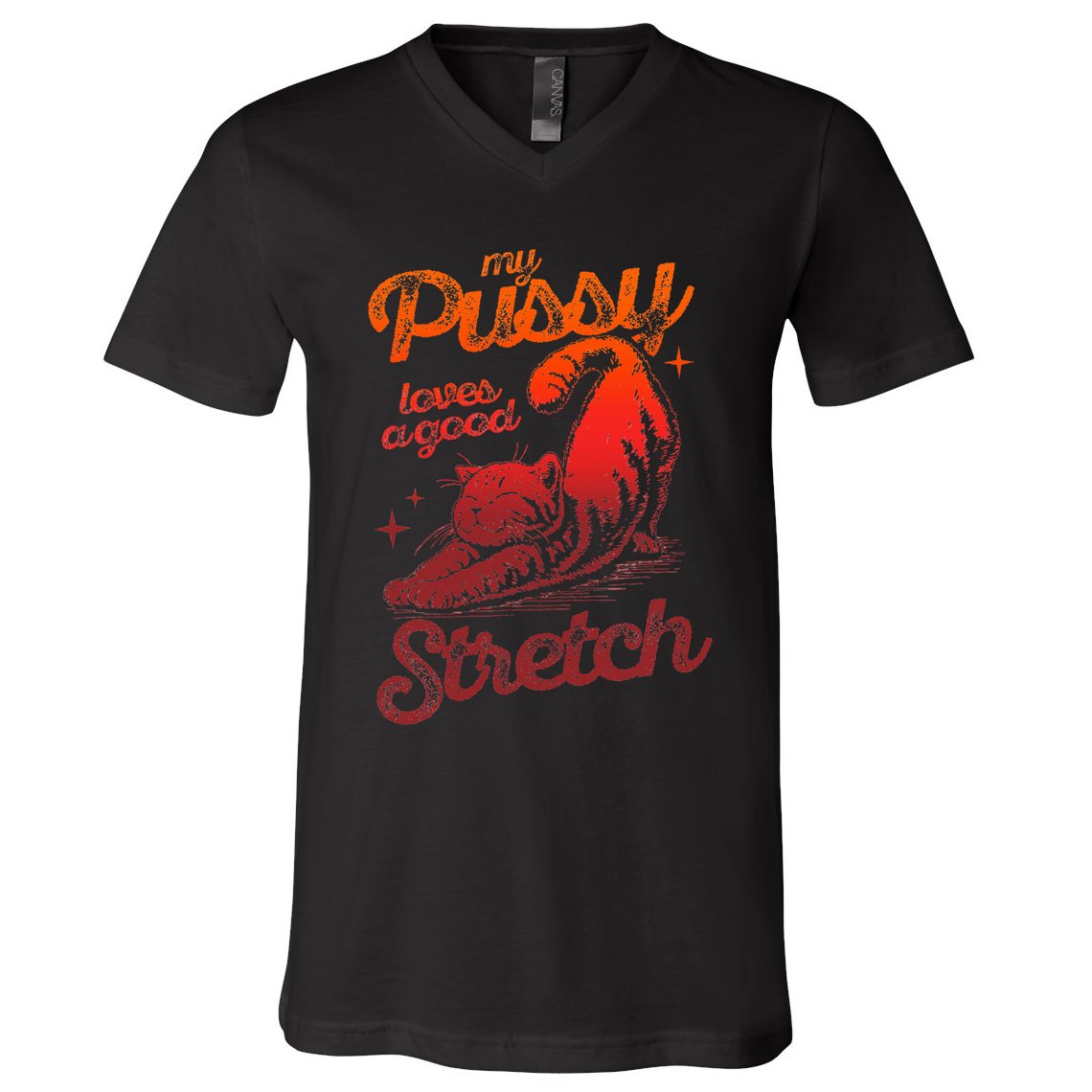 My Pussy Love A Good Stretch Funny Raunchy Cat Humor Meme V-Neck T-Shirt