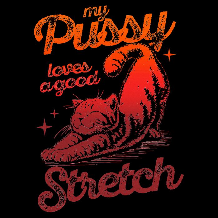 My Pussy Love A Good Stretch Funny Raunchy Cat Humor Meme Zip Tote Bag