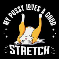 My Pussy Love A Good Stretch Funny Raunchy Cat Meme .Png 16 in Basic Backpack