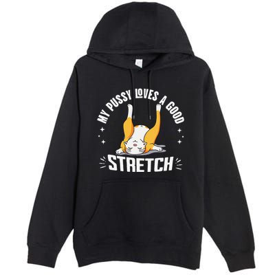 My Pussy Love A Good Stretch Funny Raunchy Cat Meme .Png Premium Pullover Hoodie