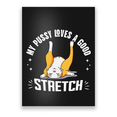 My Pussy Love A Good Stretch Funny Raunchy Cat Meme .Png Poster