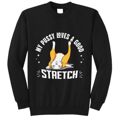 My Pussy Love A Good Stretch Funny Raunchy Cat Meme .Png Tall Sweatshirt