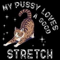 My Pussy Loves A Good Stretch Funny Cat .Png Baby Bodysuit