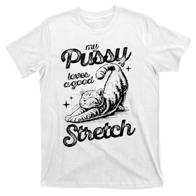 My Pussy Love A Good Stretch Funny Raunchy Cat T-Shirt