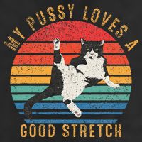 My Pussy Love A Good Stretch Funny Raunchy Cat Meme .Png 7 Panel Mesh Trucker Snapback Hat