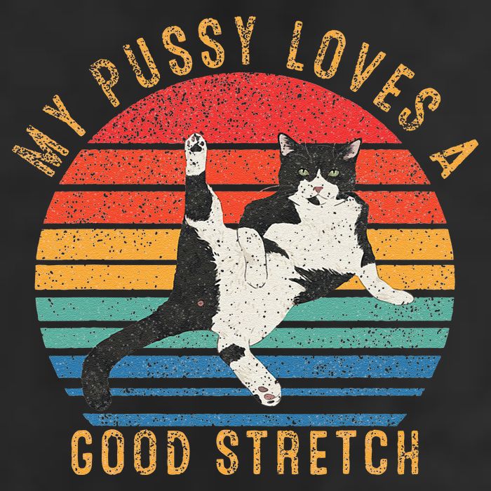 My Pussy Love A Good Stretch Funny Raunchy Cat Meme .Png 7 Panel Mesh Trucker Snapback Hat