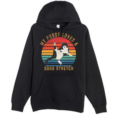 My Pussy Love A Good Stretch Funny Raunchy Cat Meme .Png Premium Pullover Hoodie