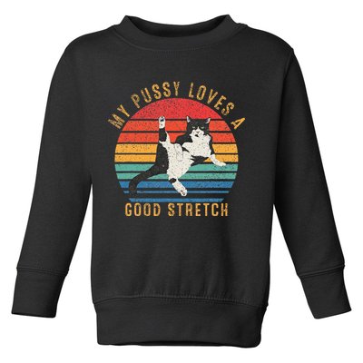 My Pussy Love A Good Stretch Funny Raunchy Cat Meme .Png Toddler Sweatshirt