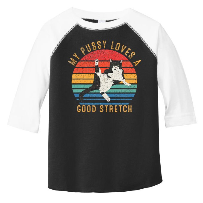 My Pussy Love A Good Stretch Funny Raunchy Cat Meme .Png Toddler Fine Jersey T-Shirt