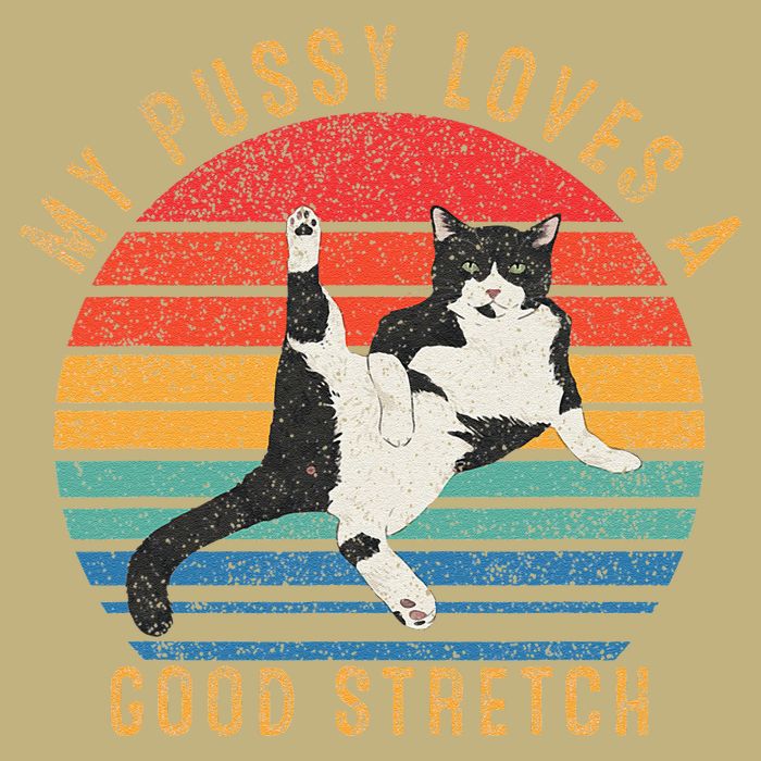 My Pussy Love A Good Stretch Funny Raunchy Cat Meme .Png Button