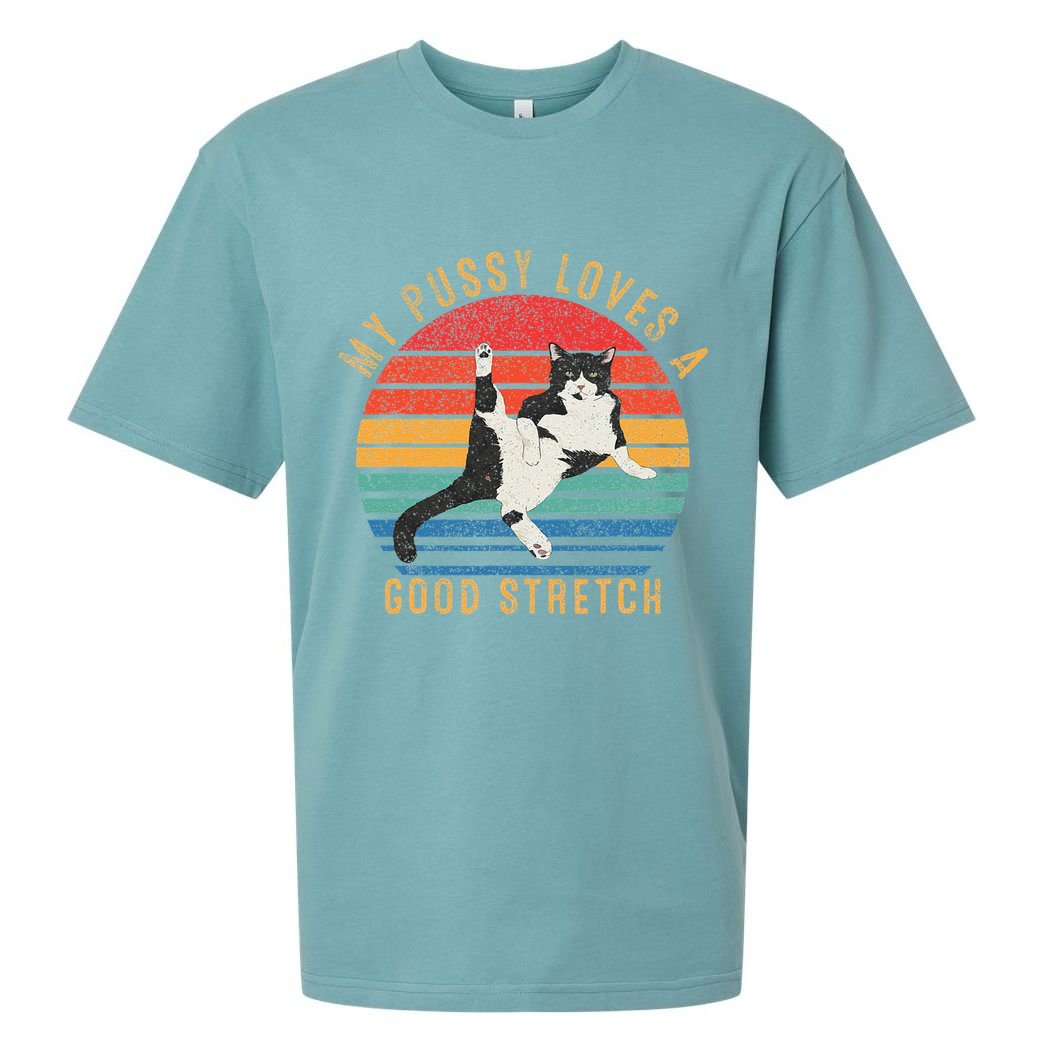 My Pussy Love A Good Stretch Funny Raunchy Cat Meme .Png Sueded Cloud Jersey T-Shirt