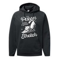 My Pussy Love A Good Stretch Funny Raunchy Cat Funny Meme Performance Fleece Hoodie