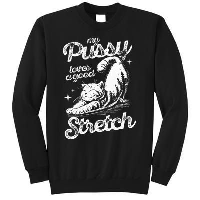 My Pussy Love A Good Stretch Funny Raunchy Cat Funny Meme Sweatshirt