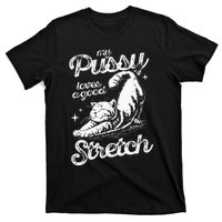 My Pussy Love A Good Stretch Funny Raunchy Cat Funny Meme T-Shirt