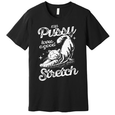 My Pussy Love A Good Stretch Funny Raunchy Cat Funny Meme Premium T-Shirt