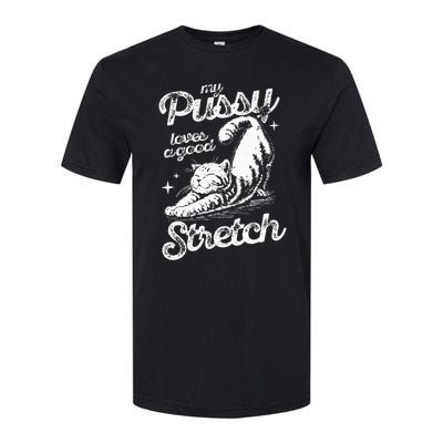 My Pussy Love A Good Stretch Funny Raunchy Cat Funny Meme Softstyle® CVC T-Shirt