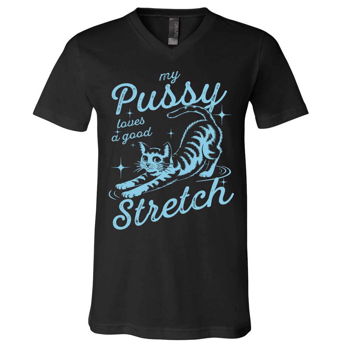 My Pussy Loves A Good Stretch Inappropriate Adult Humor Cat V-Neck T-Shirt