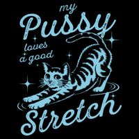 My Pussy Loves A Good Stretch Inappropriate Adult Humor Cat City Backpack