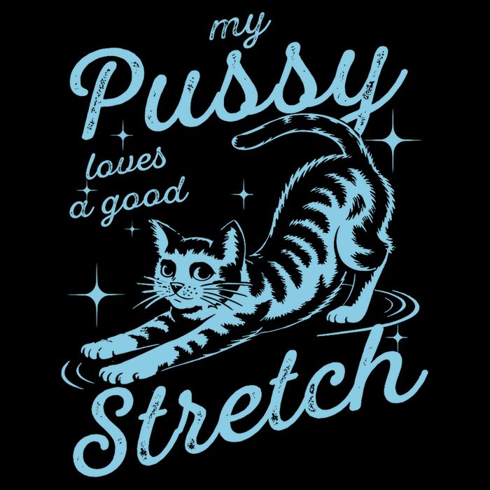 My Pussy Loves A Good Stretch Inappropriate Adult Humor Cat City Backpack