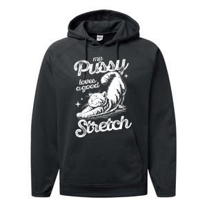 My Pussy Love A Good Stretch Funny Raunchy Cat Funny Meme Performance Fleece Hoodie