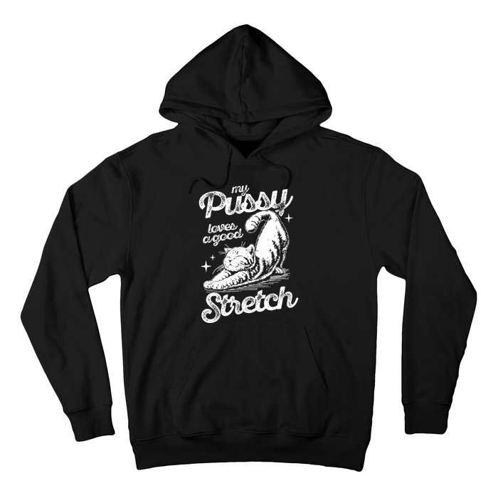 My Pussy Love A Good Stretch Funny Raunchy Cat Funny Meme Hoodie