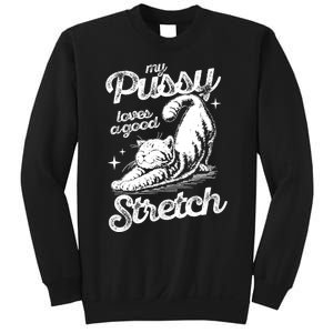 My Pussy Love A Good Stretch Funny Raunchy Cat Funny Meme Sweatshirt