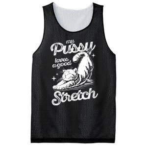 My Pussy Love A Good Stretch Funny Raunchy Cat Funny Meme Mesh Reversible Basketball Jersey Tank