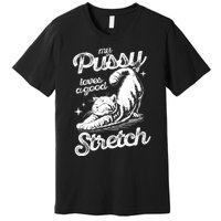 My Pussy Love A Good Stretch Funny Raunchy Cat Funny Meme Premium T-Shirt