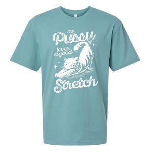 My Pussy Love A Good Stretch Funny Raunchy Cat Funny Meme Sueded Cloud Jersey T-Shirt