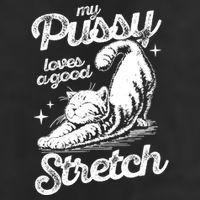 My Pussy Love A Good Stretch Funny Raunchy Cat Funny 11oz C Handle Ceramic Mug