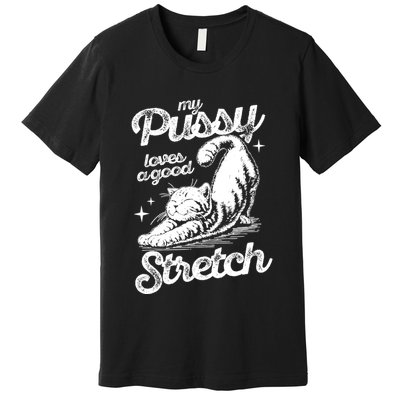 My Pussy Love A Good Stretch Funny Raunchy Cat Funny Premium T-Shirt