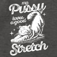 My Pussy Love A Good Stretch Funny Raunchy Cat Funny Vector Backpack