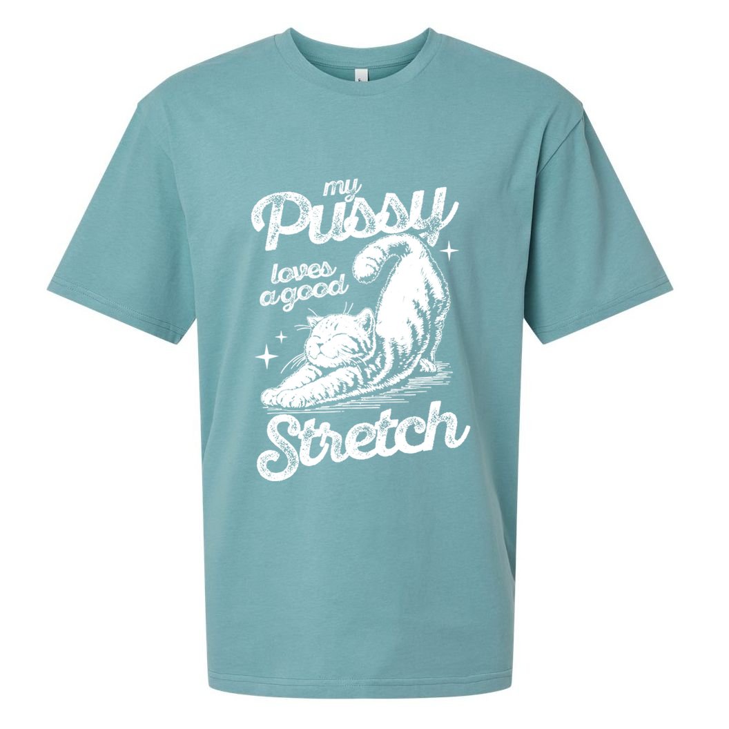 My Pussy Love A Good Stretch Funny Raunchy Cat Funny Sueded Cloud Jersey T-Shirt