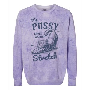 My Pussy Love A Good Stretch Funny Raunchy Cat Meme Colorblast Crewneck Sweatshirt