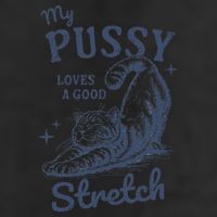 My Pussy Love A Good Stretch Funny Raunchy Cat Meme 7 Panel Mesh Trucker Snapback Hat