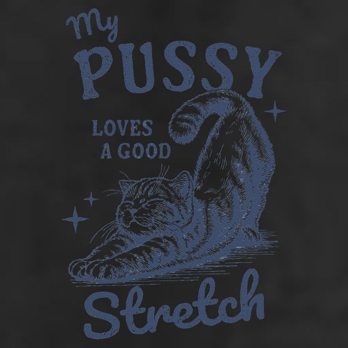 My Pussy Love A Good Stretch Funny Raunchy Cat Meme 7 Panel Mesh Trucker Snapback Hat