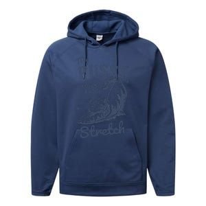 My Pussy Love A Good Stretch Funny Raunchy Cat Meme Performance Fleece Hoodie