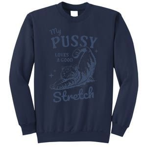 My Pussy Love A Good Stretch Funny Raunchy Cat Meme Sweatshirt