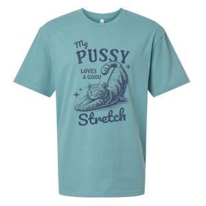 My Pussy Love A Good Stretch Funny Raunchy Cat Meme Sueded Cloud Jersey T-Shirt