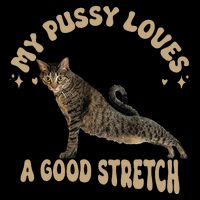 My Pussy Love A Good Stretch Funny Raunchy Cat Meme Impact Tech Backpack