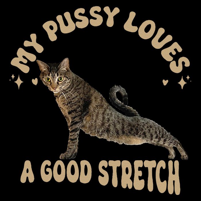 My Pussy Love A Good Stretch Funny Raunchy Cat Meme Impact Tech Backpack
