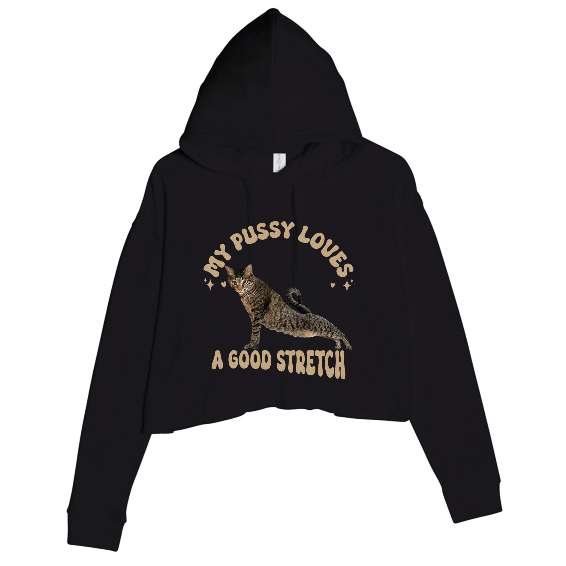 My Pussy Love A Good Stretch Funny Raunchy Cat Meme Crop Fleece Hoodie