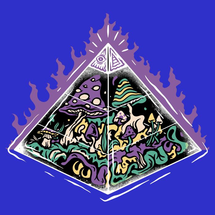 Mushroom Pyramid 16 in Basic Backpack