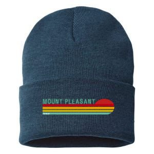 Mount Pleasant Michigan Sustainable Knit Beanie