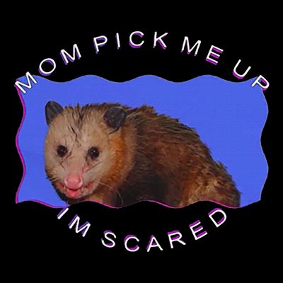 Mom Pick Me Up IM Scared T-Shirt
