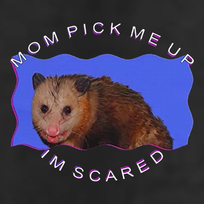 Mom Pick Me Up IM Scared Adult Drive Performance Visor