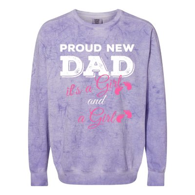 Mens Proud New Dad It's A Girl And Girl Gift Twin Girls Daddy Colorblast Crewneck Sweatshirt